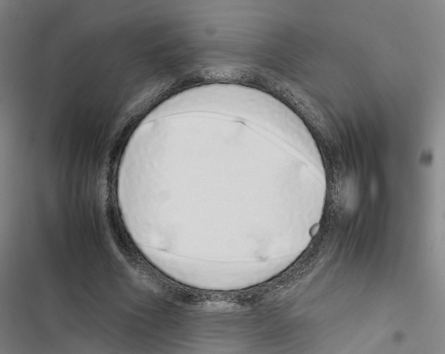 X0000116840586201001151249