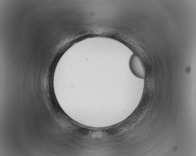 X0000116840587201001151249