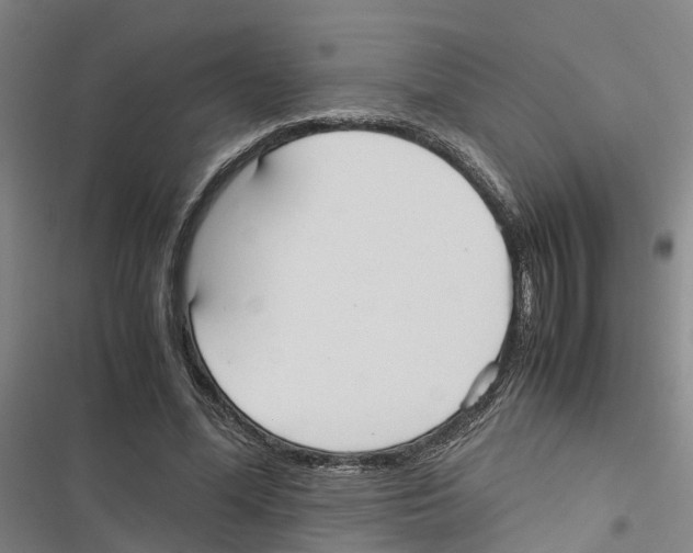X0000116840588201001151249