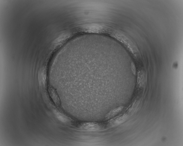 X0000116840589201001151249