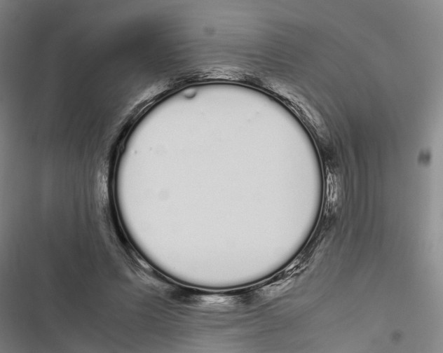 X0000116840591201001151249