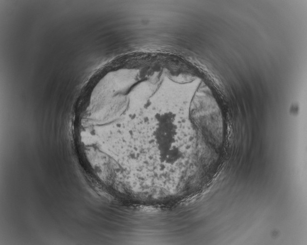 X0000116840592201001151249