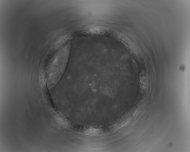 X0000116840593201001151249