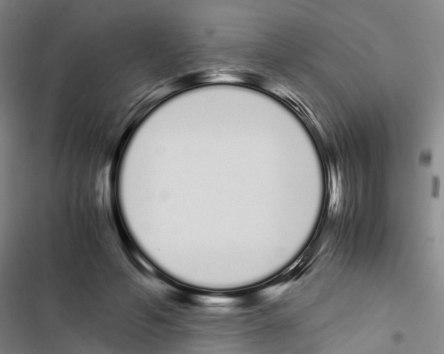 X0000116840594201001151249