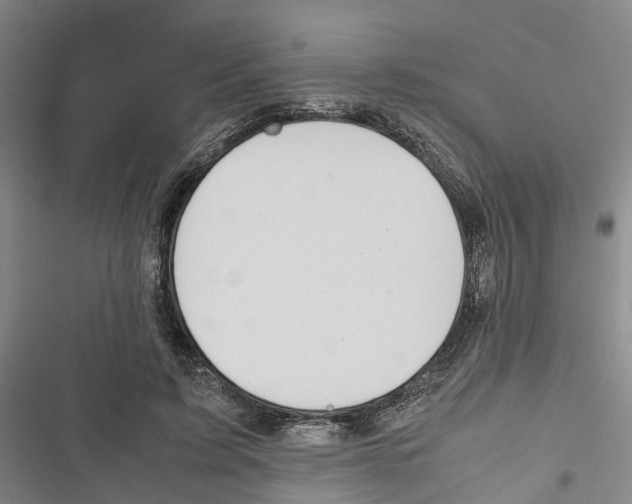 X0000116840595201001151249