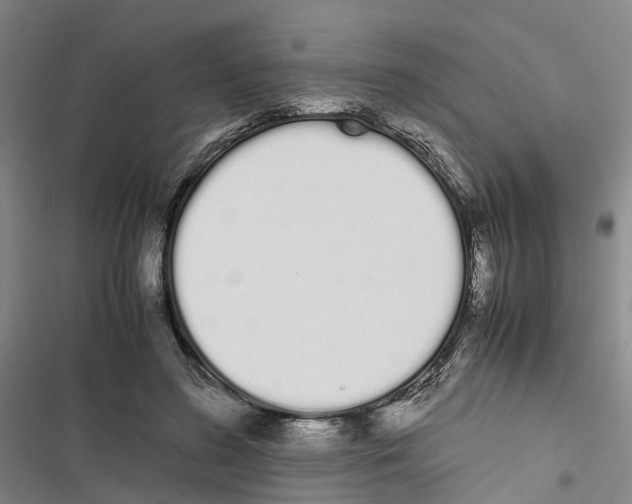 X0000116840596201001151249