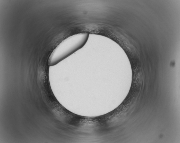 X0000116840597201001151249