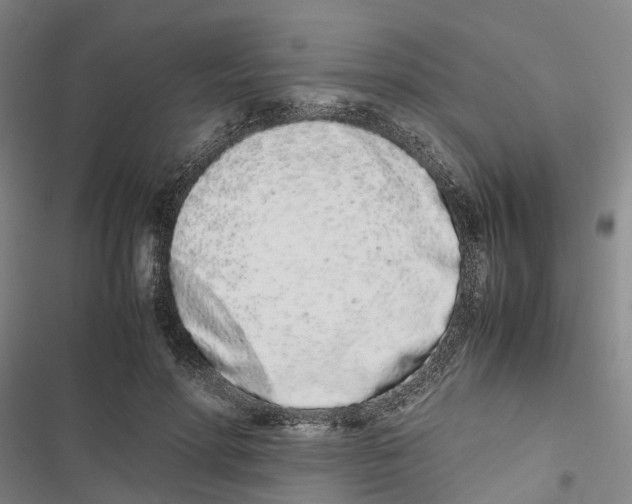 X0000116840598201001151249