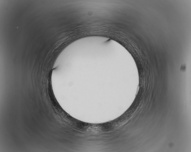 X0000116840599201001151249