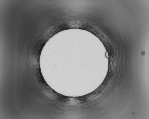 X0000116840601201001151249