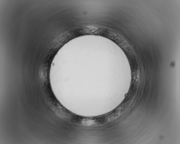 X0000116840602201001151249