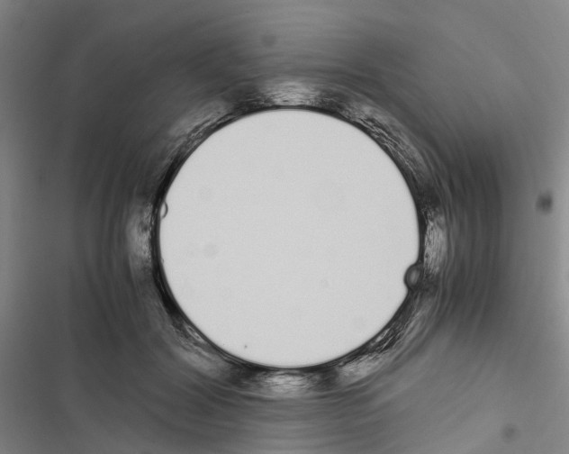 X0000116840604201001151249
