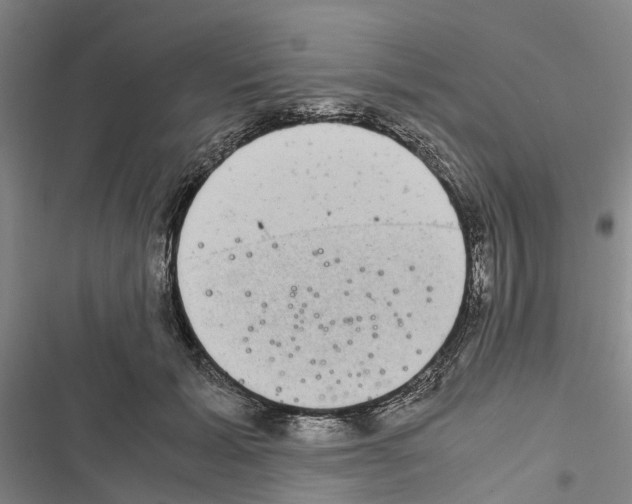 X0000116840605201001151249