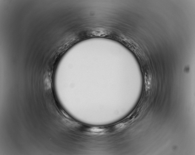 X0000116840606201001151249