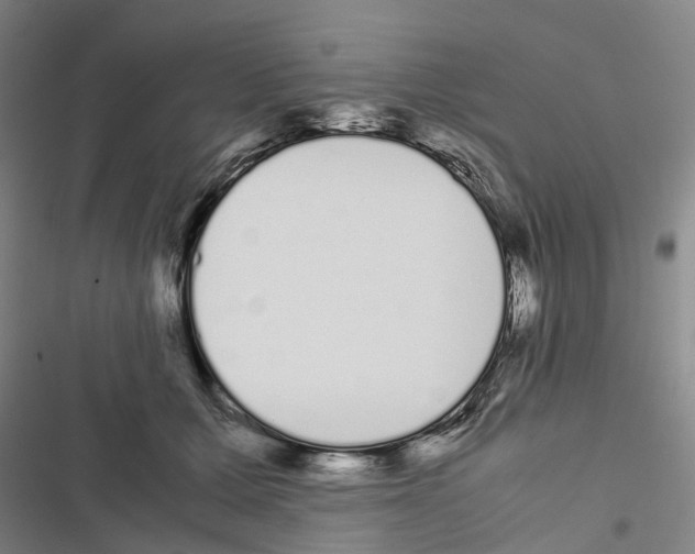 X0000116840607201001151248