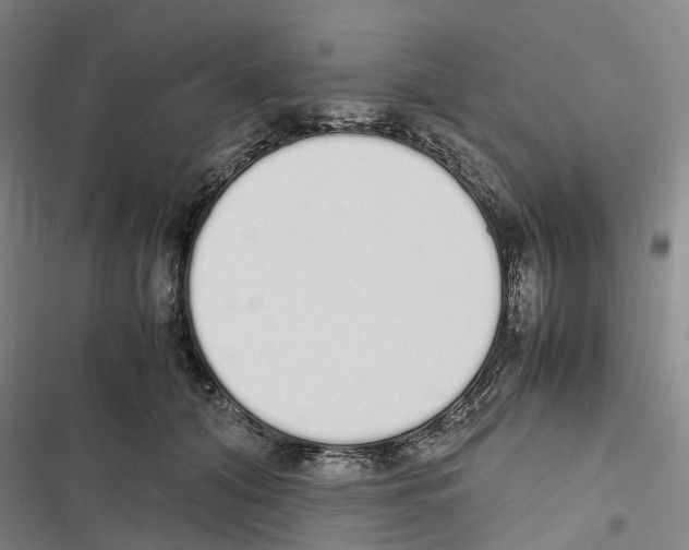 X0000116840608201001151248