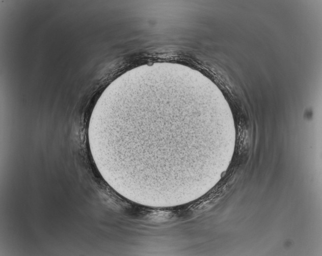 X0000116840609201001151248