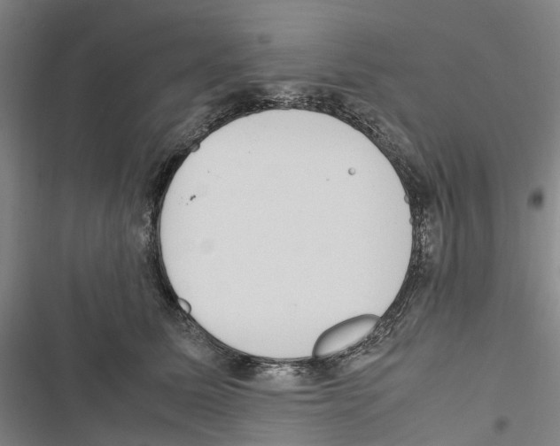 X0000116840611201001151248