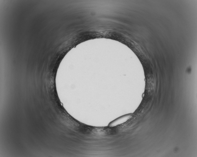 X0000116840613201001151248