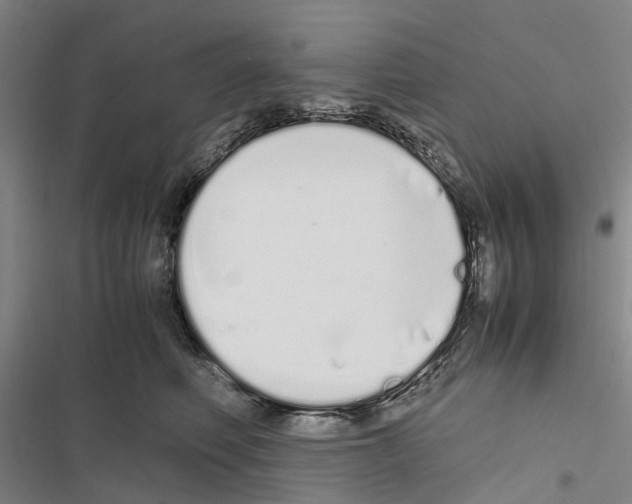 X0000116840614201001151248