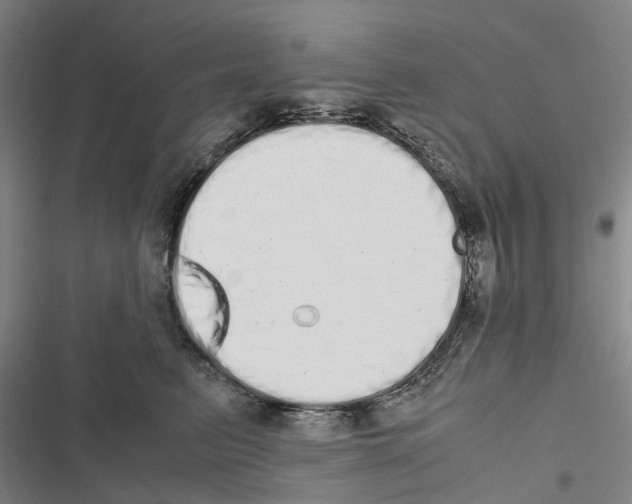 X0000116840615201001151248