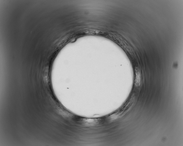 X0000116840616201001151248