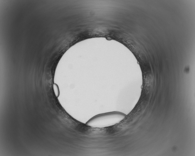 X0000116840617201001151248