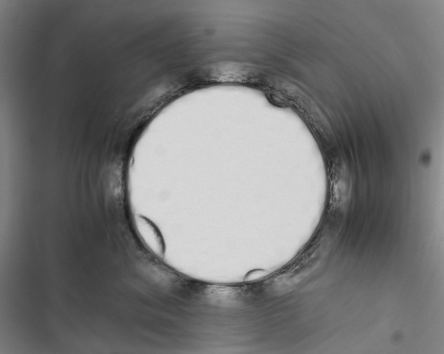 X0000116840620201001151248