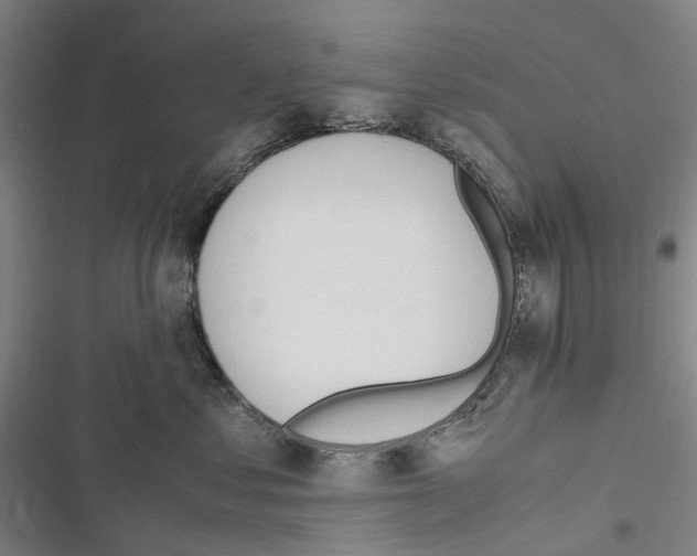 X0000116840621201001151248