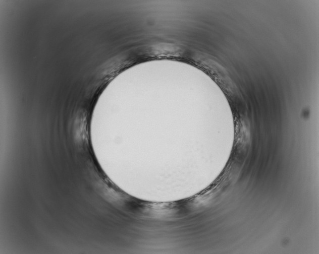 X0000116840622201001151248