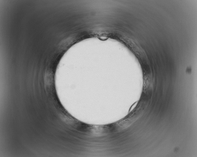 X0000116840623201001151248