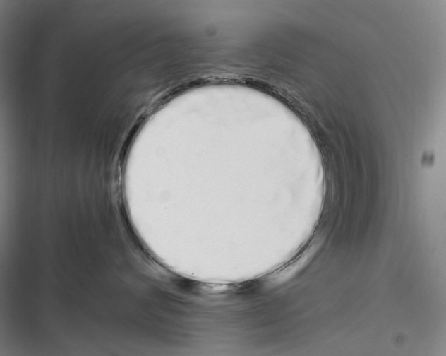 X0000116840624201001151248