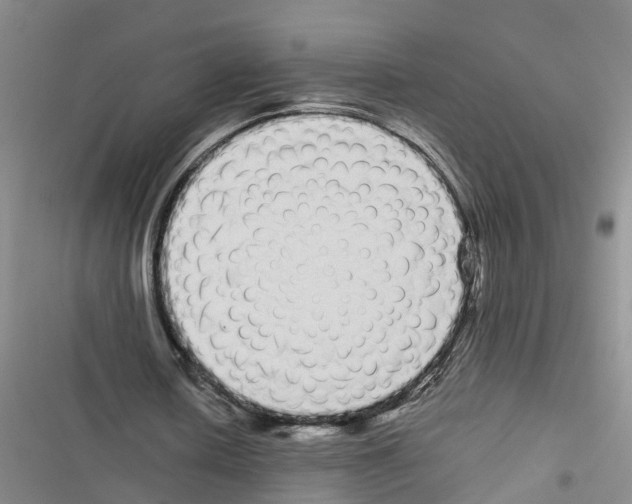 X0000116840626201001151248