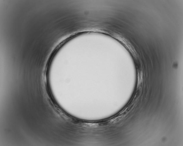 X0000116840628201001151248