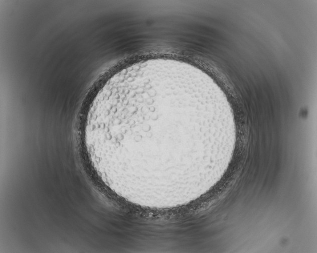 X0000116840629201001151248