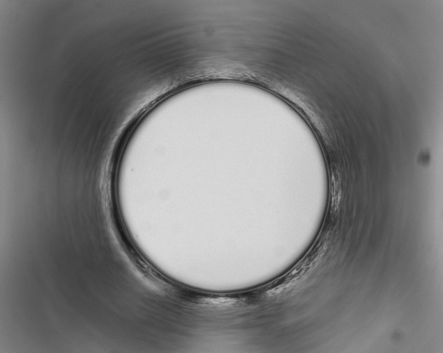 X0000116840630201001151248