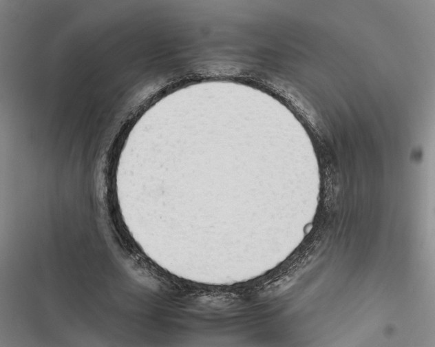 X0000116840631201001151248