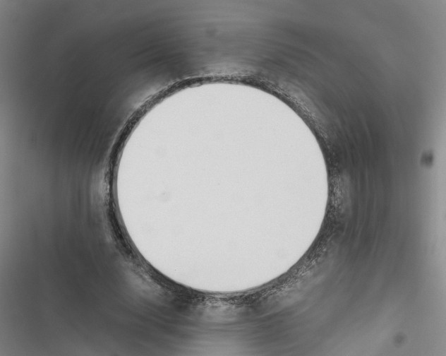 X0000116840632201001151248