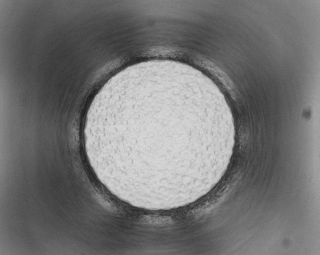 X0000116840633201001151248