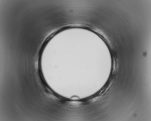 X0000116840636201001151248