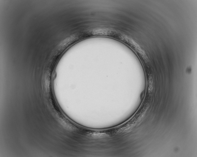 X0000116840637201001151248