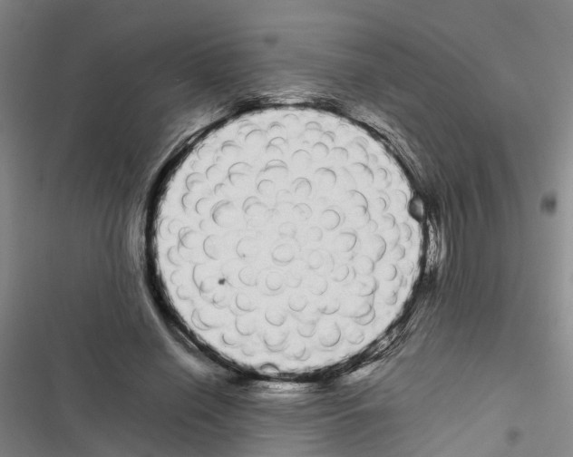X0000116840638201001151248