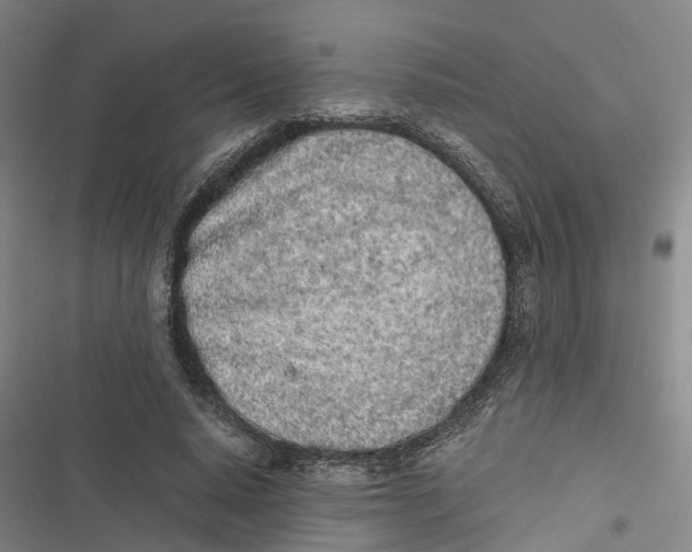 X0000116840640201001151248