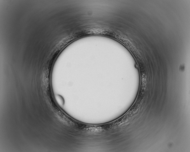 X0000116840642201001151248