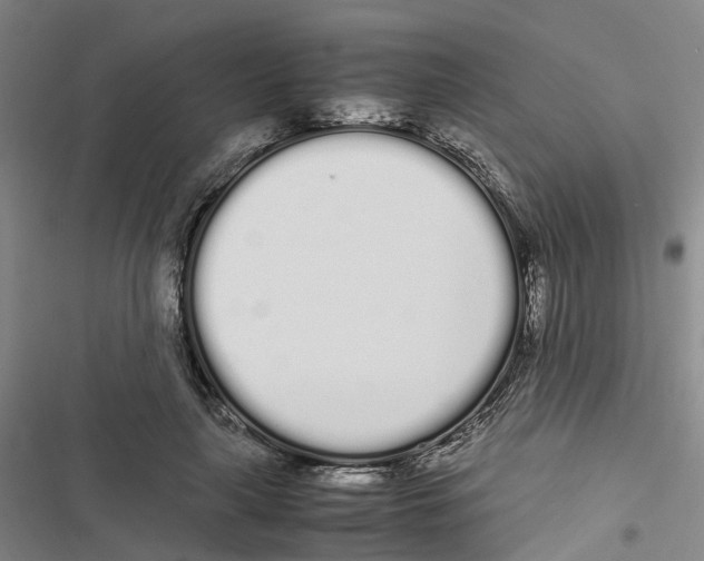 X0000116840643201001151248