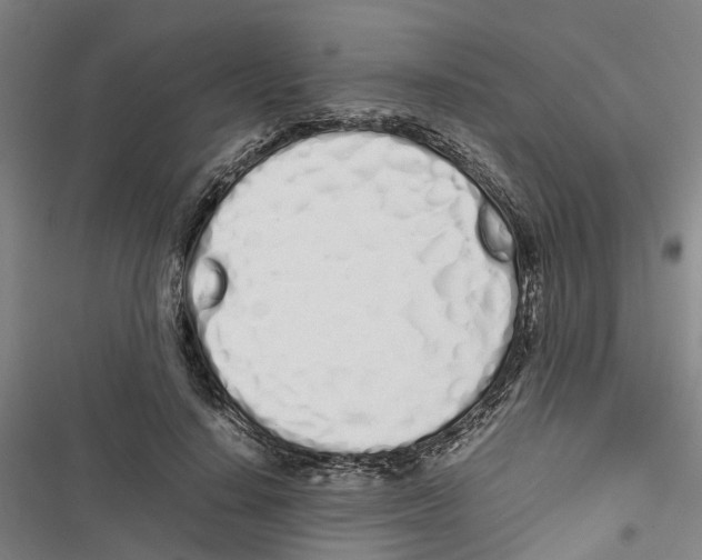 X0000116840644201001151248