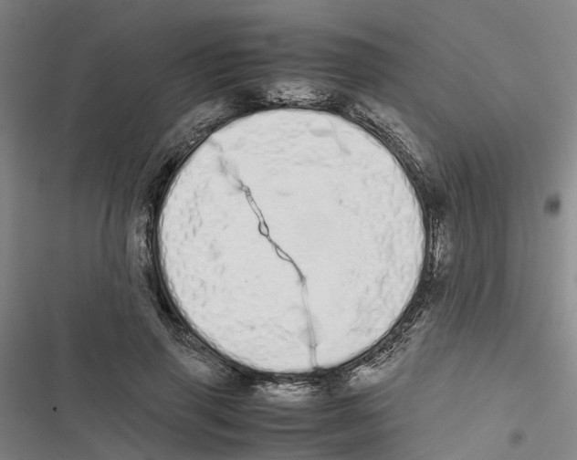 X0000116840645201001151248