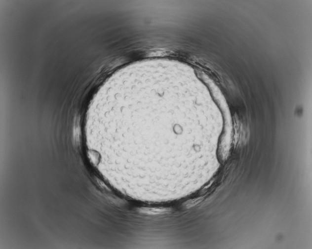 X0000116840646201001151248