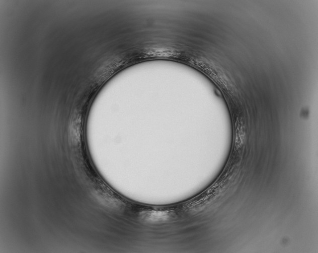 X0000116840647201001151248