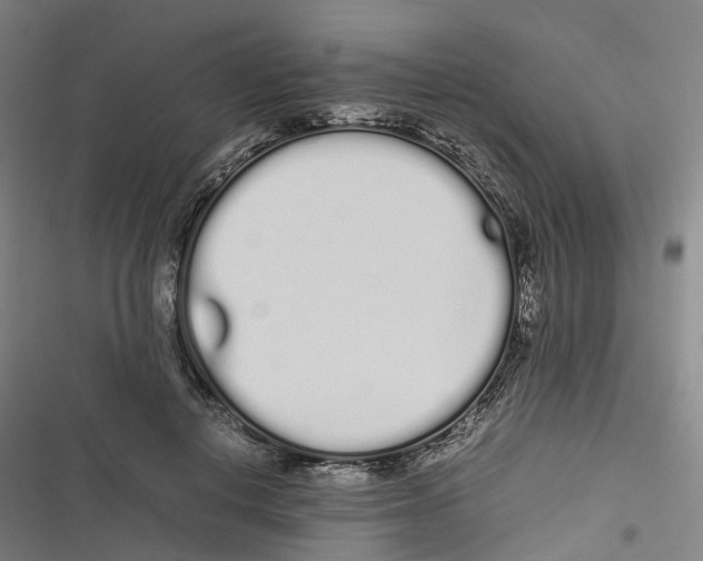 X0000116840648201001151248